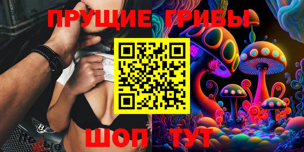Нарткала  Галлюциногенные грибы Psilocybine cubensis  Вход с VPN 