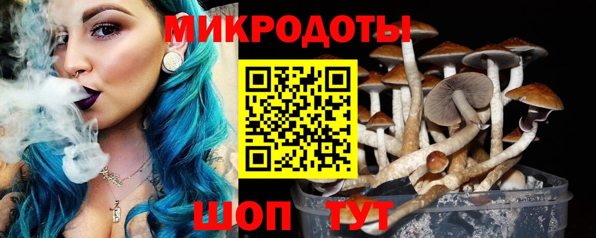 Псилоцибиновые грибы мицелий Нарткала